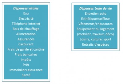 dépenses vitales accessoires
