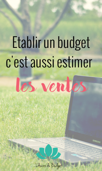 gerer-budget-entreprise-citation